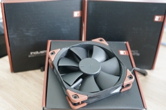 noctua_1