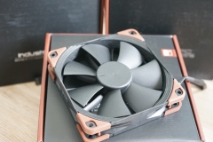 noctua_2