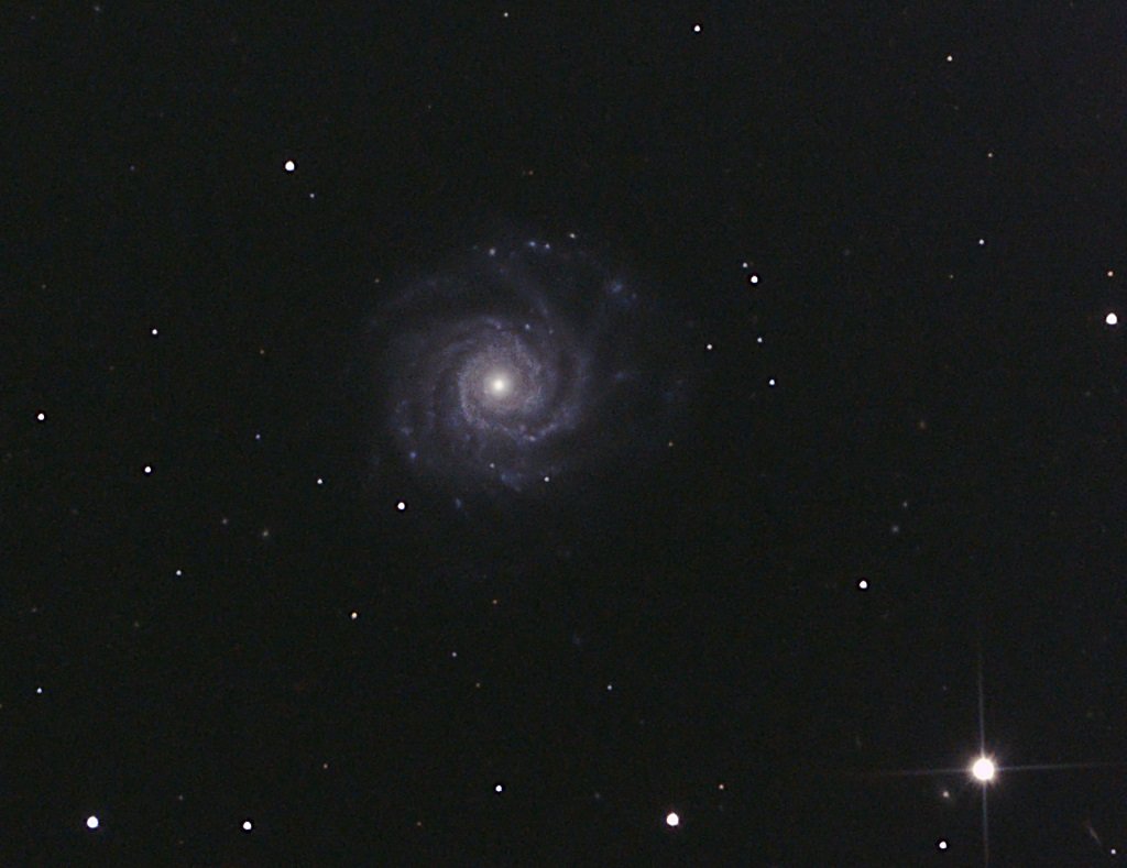 NGC2938