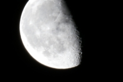 Mond_10082020_0130