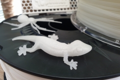 Herz_filament_10