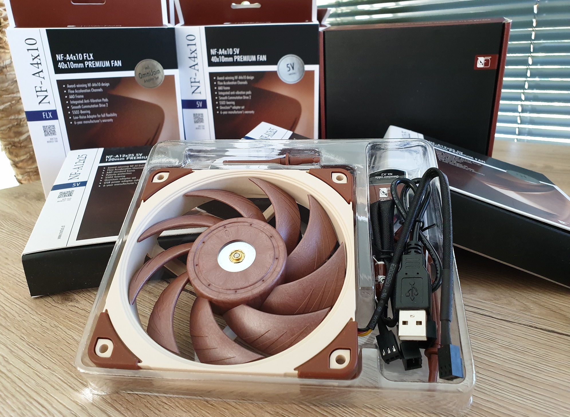 Noctua_4